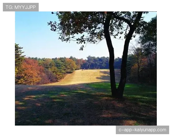 俱乐部升级训练场地 人工草皮替换完成，俱乐部培养模式