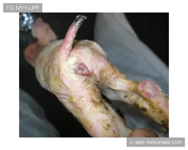 博卡长传转移频繁,成功率偏低,博卡病毒的传播途径 博卡长传转移频繁,成功率偏低,博卡病毒的传播途径